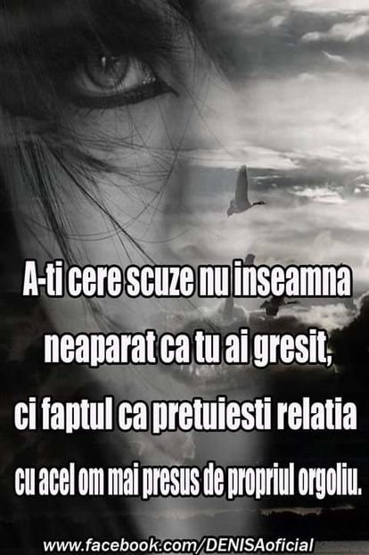 16487240_1523324807696166_7106676352041295259_o - citate uimitoare