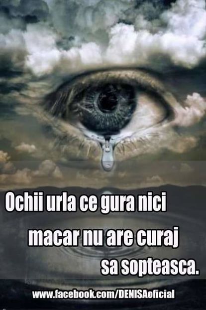 16487853_1523332191028761_4662665446711783236_o - citate uimitoare