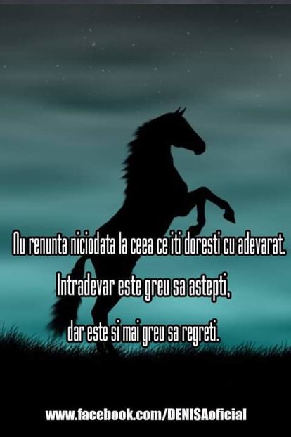 16462964_1523337551028225_135770749955504366_o - citate uimitoare
