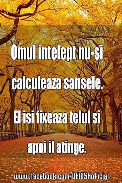 16487508_1531444690217511_2343418189464574748_o - citate uimitoare