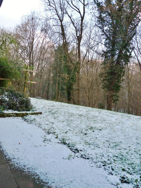 Iarna in toata regula! - 2022 - 04 - 2023 - 00 - Iarna