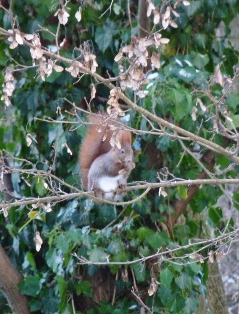  - 2022 - 04 - 2023 - 00 - Iarna