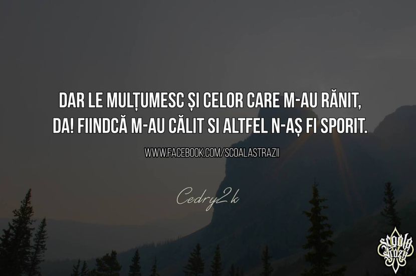 111209522_DMXZVIE3 - citate tari