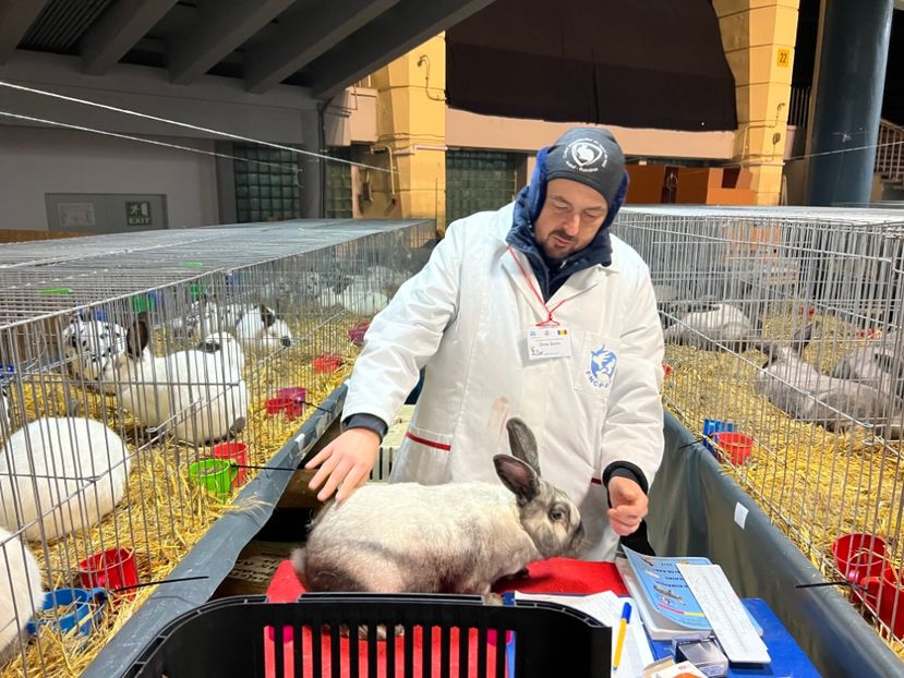 54D1FE5F-53DC-41E0-A79D-54AE80AA0AED - Arbitru principal la expoziția Nationala a României ediția 2022