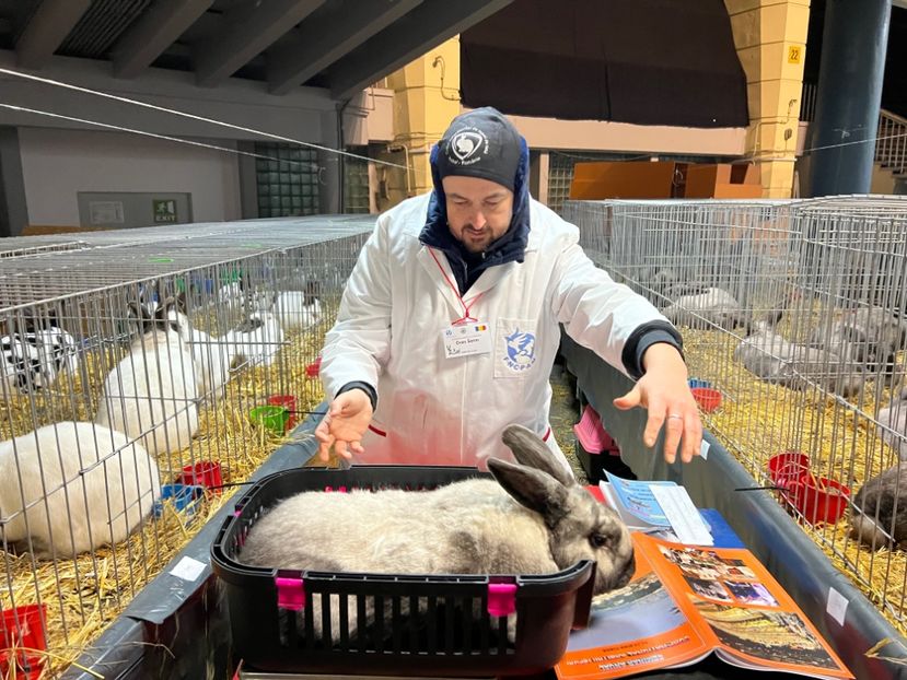 7318E1AD-DCEB-479E-878C-0AB3CDF9BC08 - Arbitru principal la expoziția Nationala a României ediția 2022