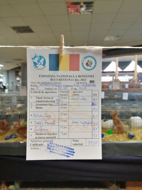  - 0 - REZ EXPO NAT BUC 2022