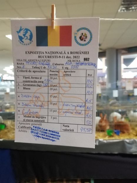  - 0 - REZ EXPO NAT BUC 2022