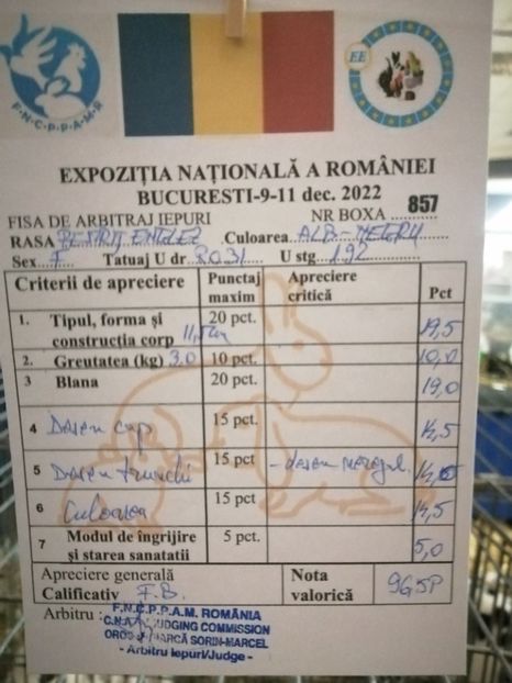  - 0 - REZ EXPO NAT BUC 2022