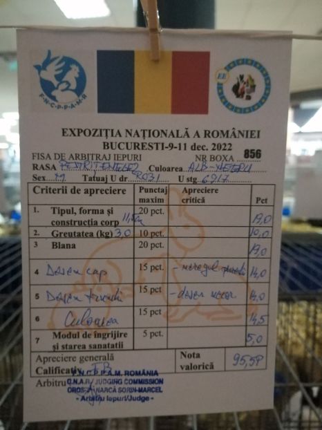  - 0 - REZ EXPO NAT BUC 2022