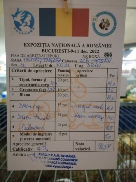  - 0 - REZ EXPO NAT BUC 2022