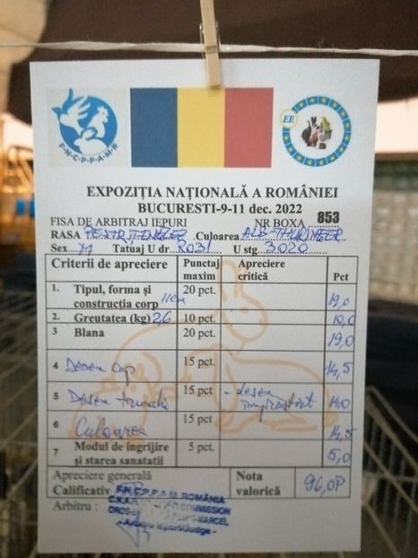  - 0 - REZ EXPO NAT BUC 2022