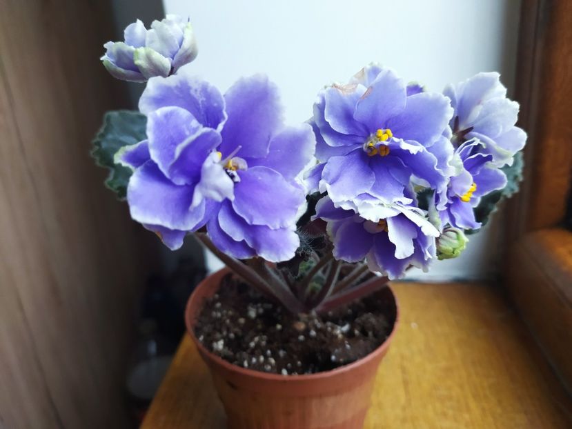 11 decembrie 2022 - KZ Dobrynia