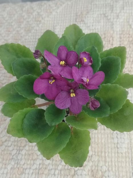 13 dec - Hunter s Captivating