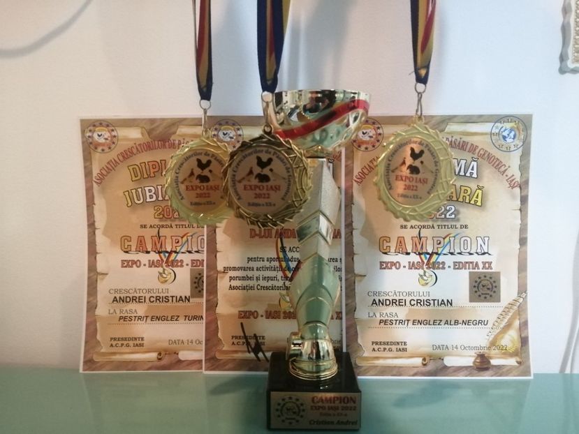  - 0 - REZ EXPO IAȘI OCTOMBRIE 2022
