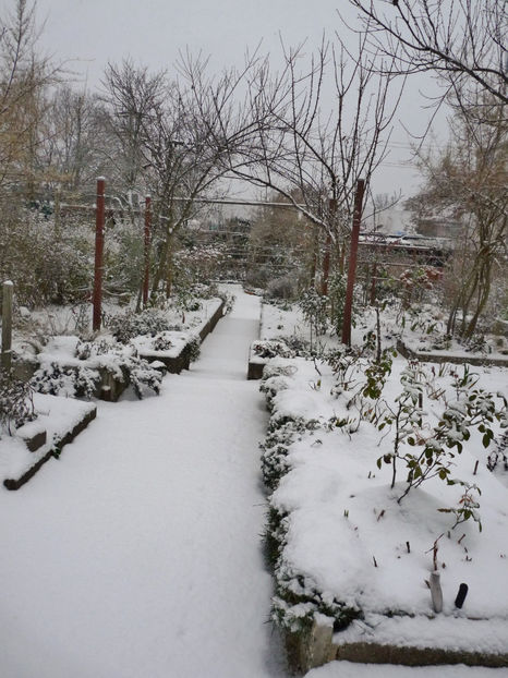 13.12.2022, -15°C - 2022 - 04 - 2023 - 00 - Iarna