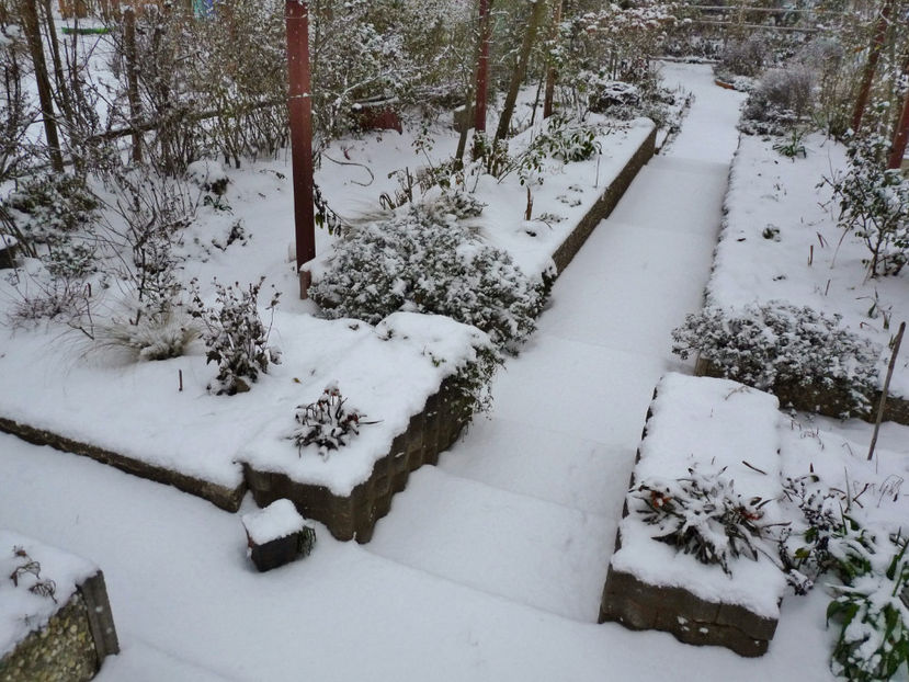  - 2022 - 04 - 2023 - 00 - Iarna