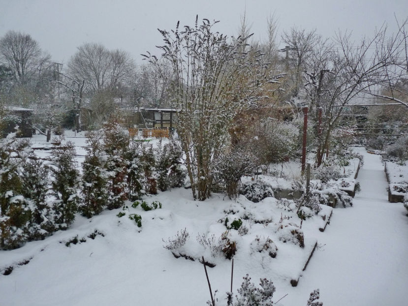  - 2022 - 04 - 2023 - 00 - Iarna