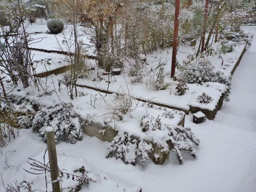  - 2022 - 04 - 2023 - 00 - Iarna