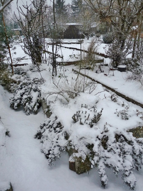  - 2022 - 04 - 2023 - 00 - Iarna