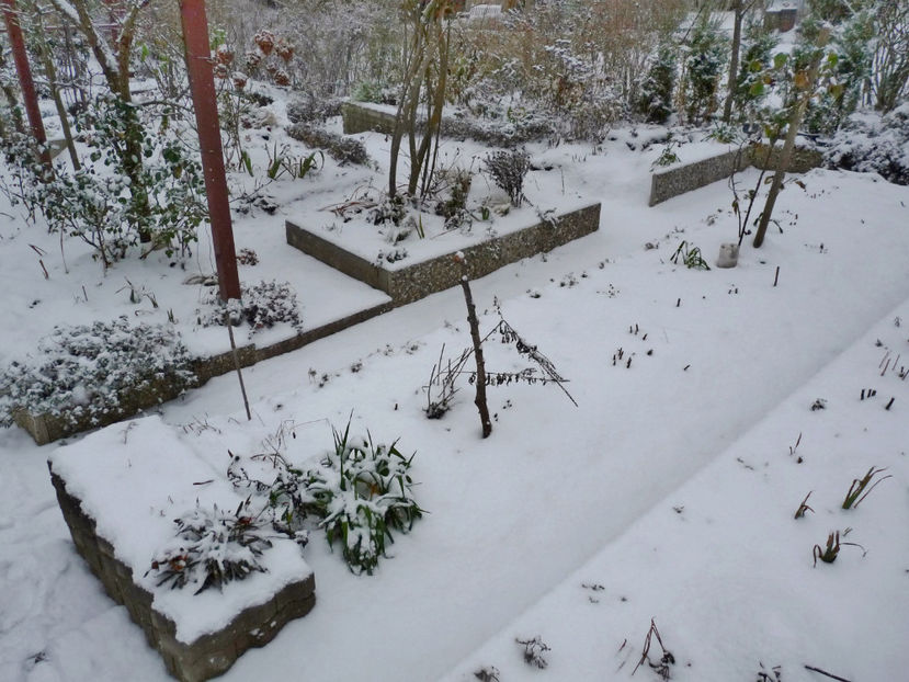  - 2022 - 04 - 2023 - 00 - Iarna