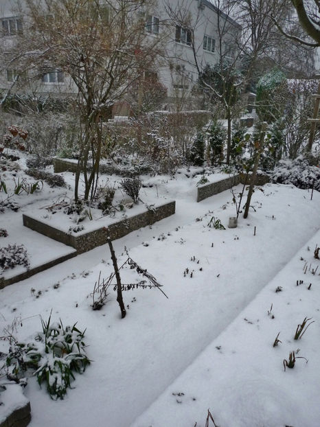  - 2022 - 04 - 2023 - 00 - Iarna