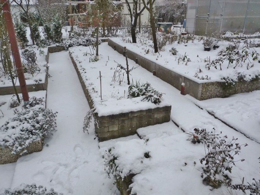  - 2022 - 04 - 2023 - 00 - Iarna