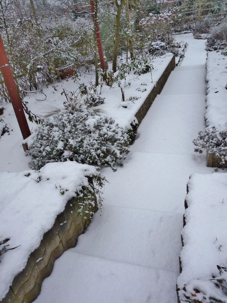  - 2022 - 04 - 2023 - 00 - Iarna