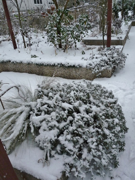  - 2022 - 04 - 2023 - 00 - Iarna