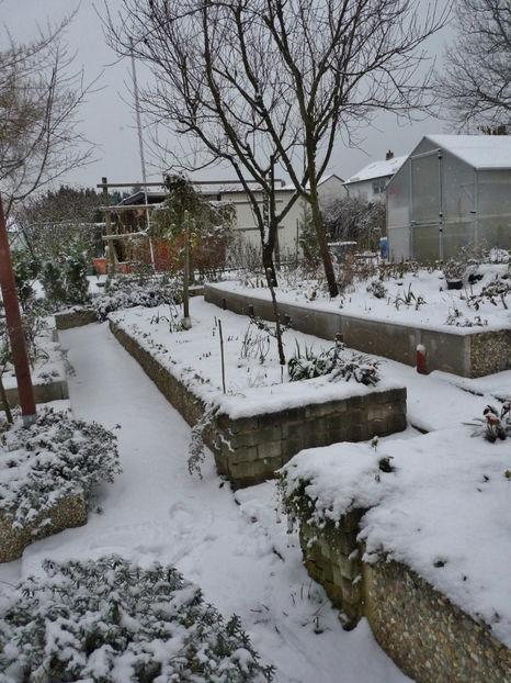  - 2022 - 04 - 2023 - 00 - Iarna