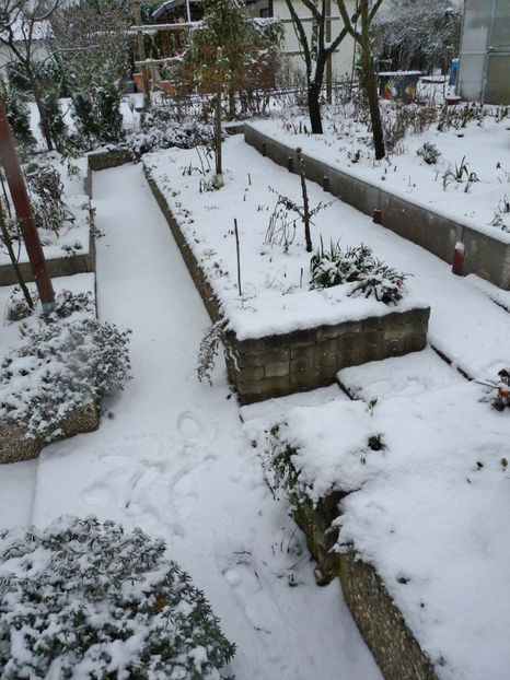  - 2022 - 04 - 2023 - 00 - Iarna