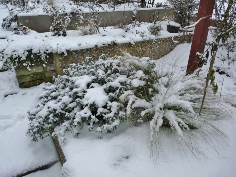  - 2022 - 04 - 2023 - 00 - Iarna