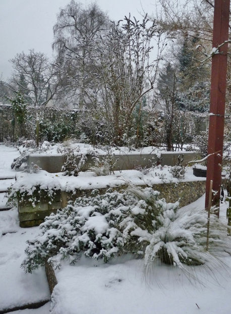  - 2022 - 04 - 2023 - 00 - Iarna