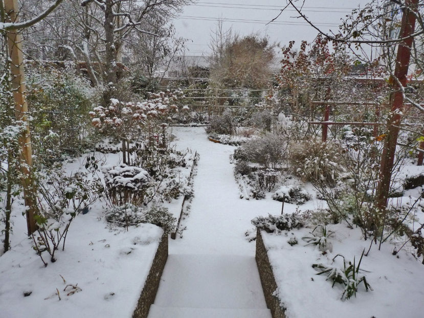  - 2022 - 04 - 2023 - 00 - Iarna