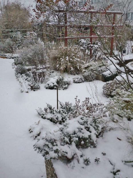  - 2022 - 04 - 2023 - 00 - Iarna