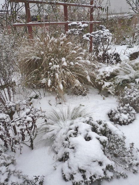  - 2022 - 04 - 2023 - 00 - Iarna