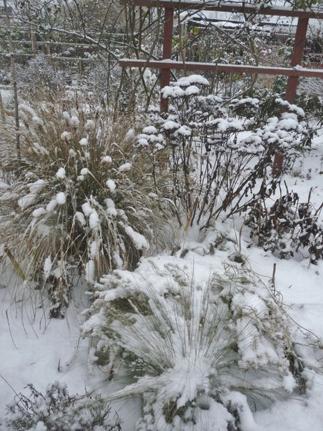  - 2022 - 04 - 2023 - 00 - Iarna