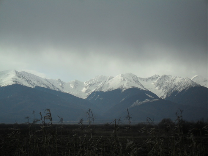 SDC11225 - sambata de sus -albota -fagaras