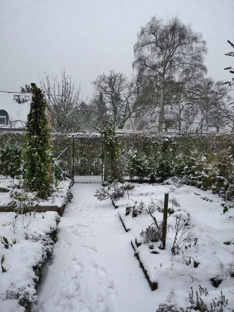  - 2022 - 04 - 2023 - 00 - Iarna