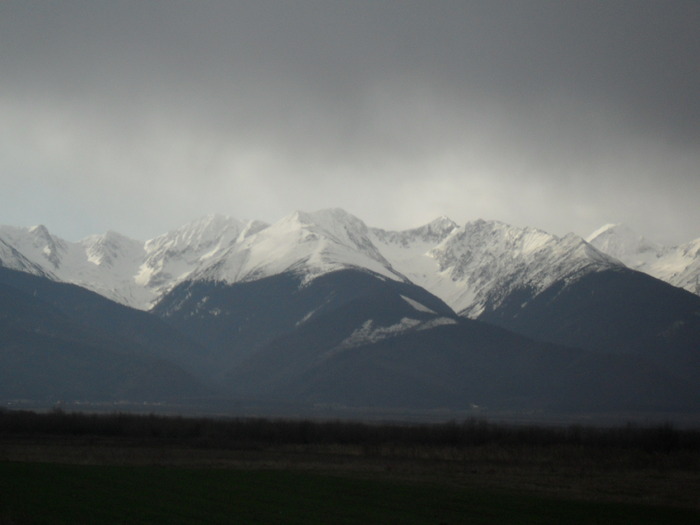 SDC11226 - sambata de sus -albota -fagaras