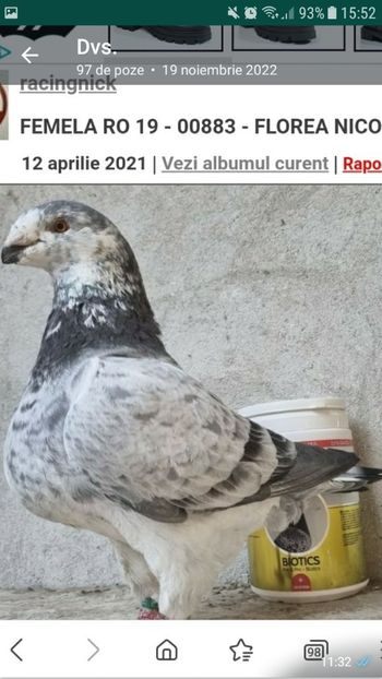 FLOREA-NICOLAE - ACHIZTII-FLOREA NICOLAE 2021-2022