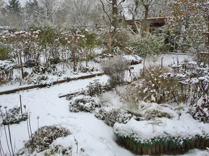  - 2022 - 04 - 2023 - 00 - Iarna