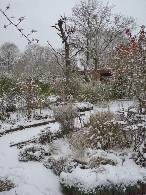  - 2022 - 04 - 2023 - 00 - Iarna