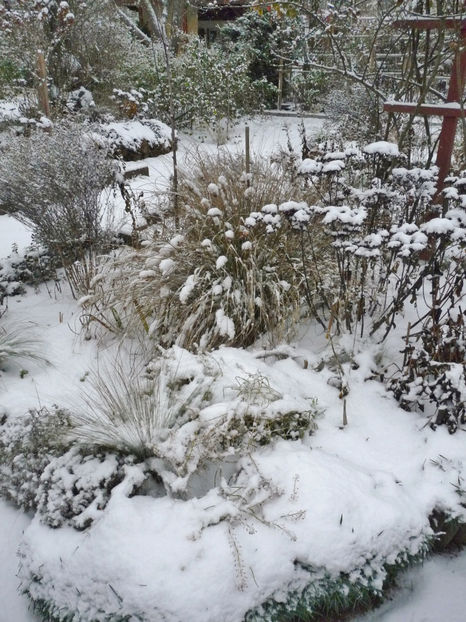  - 2022 - 04 - 2023 - 00 - Iarna