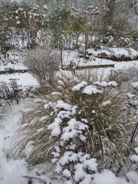  - 2022 - 04 - 2023 - 00 - Iarna