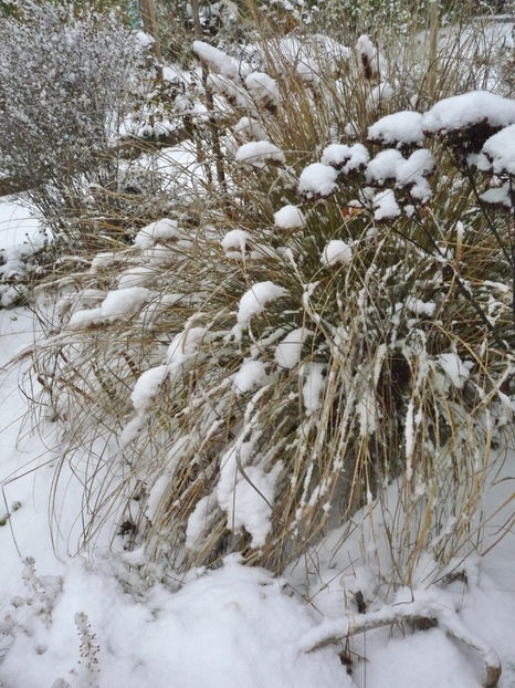  - 2022 - 04 - 2023 - 00 - Iarna