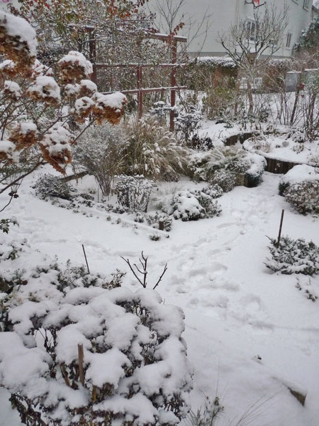  - 2022 - 04 - 2023 - 00 - Iarna