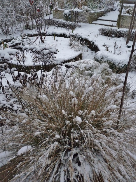  - 2022 - 04 - 2023 - 00 - Iarna