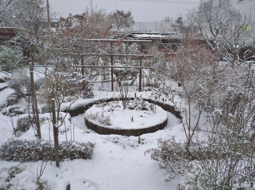  - 2022 - 04 - 2023 - 00 - Iarna