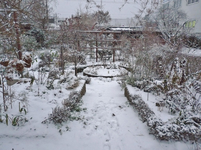  - 2022 - 04 - 2023 - 00 - Iarna