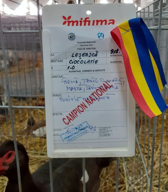  - Expo Nationala 2022